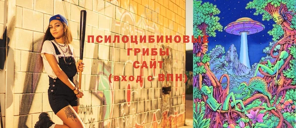 2c-b Абинск